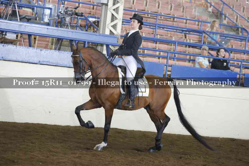 Proof 15R11_01799