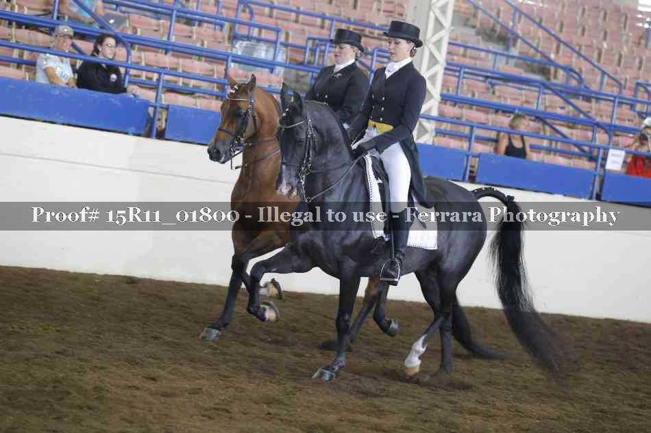 Proof 15R11_01800