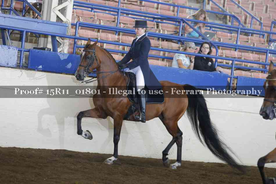 Proof 15R11_01801