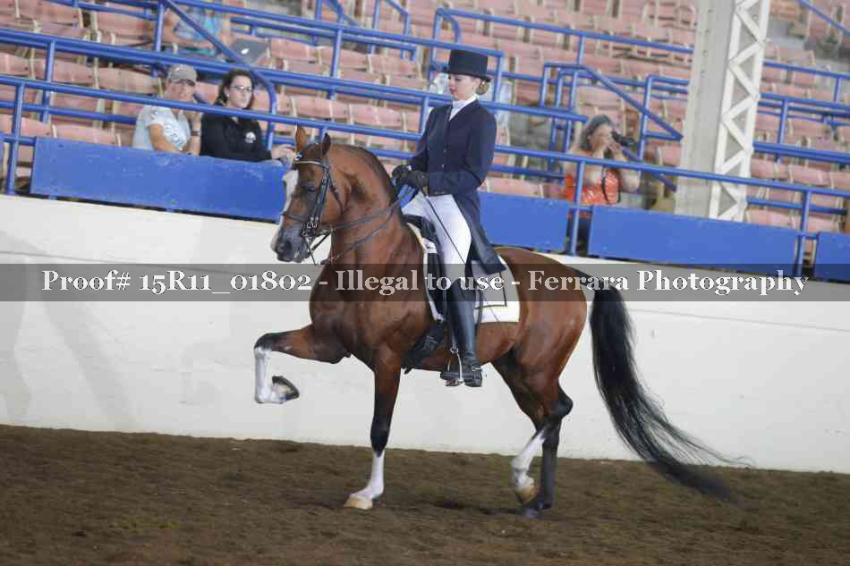 Proof 15R11_01802