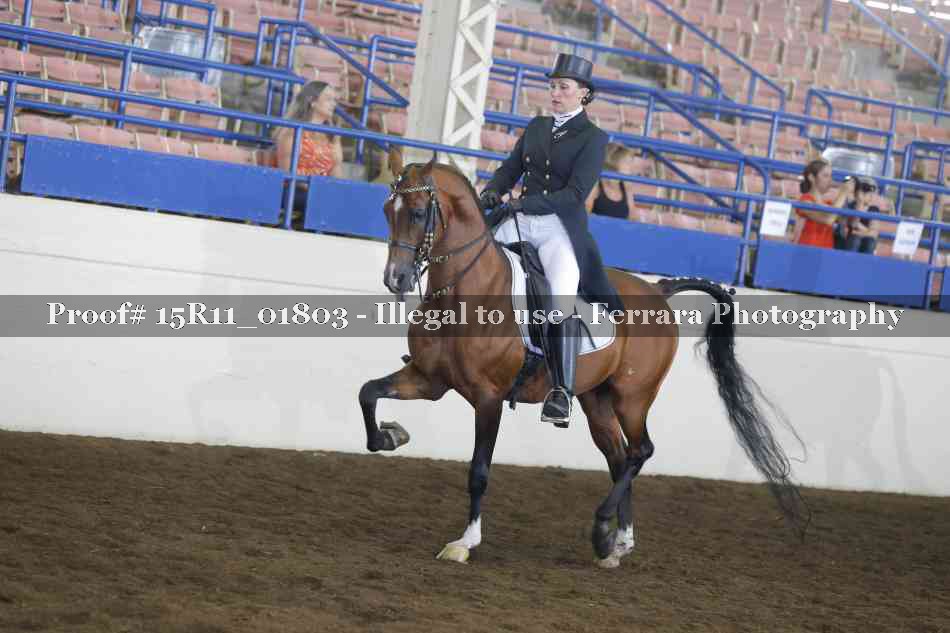 Proof 15R11_01803