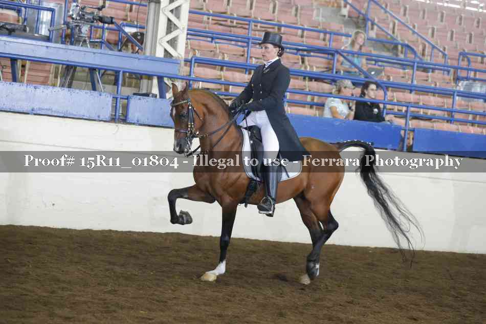 Proof 15R11_01804