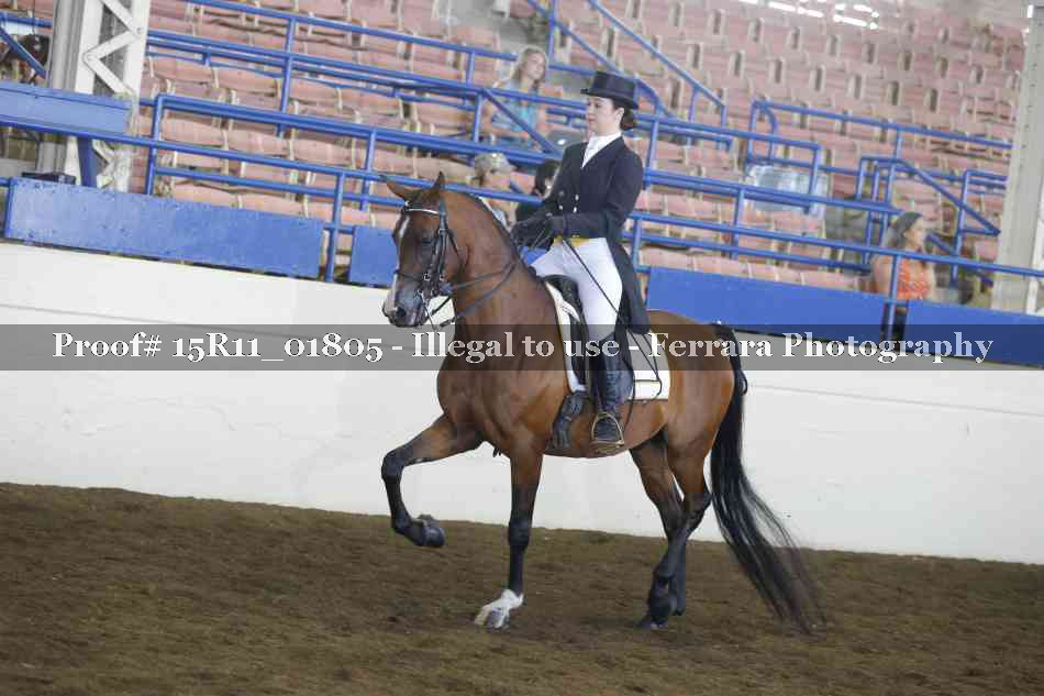 Proof 15R11_01805
