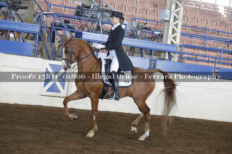 Proof 15R11_01806