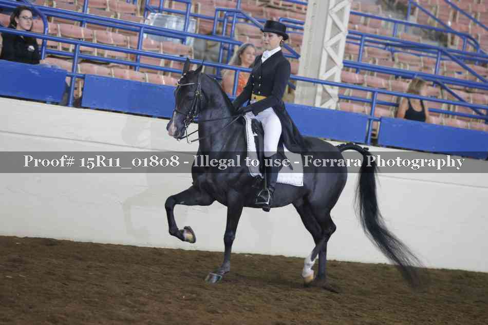 Proof 15R11_01808