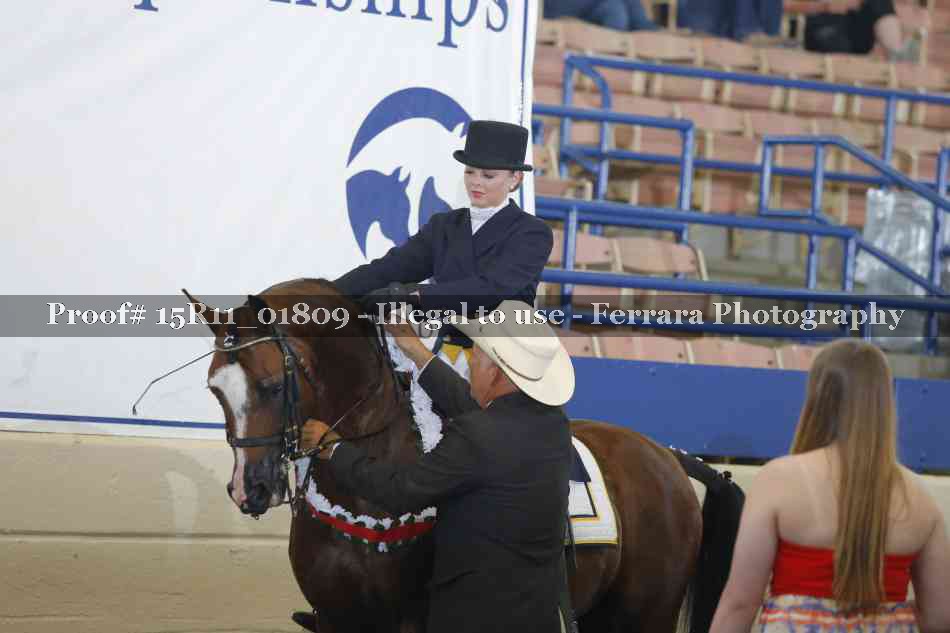 Proof 15R11_01809