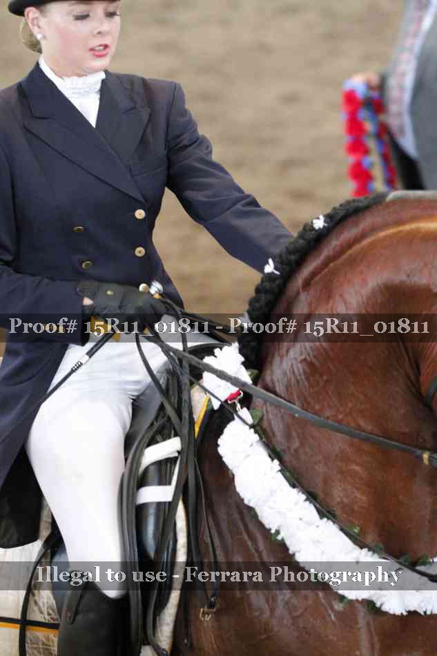 Proof 15R11_01811