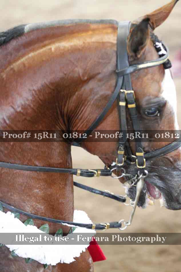 Proof 15R11_01812