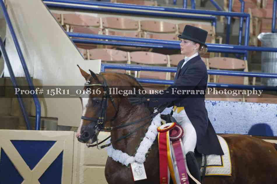 Proof 15R11_01816