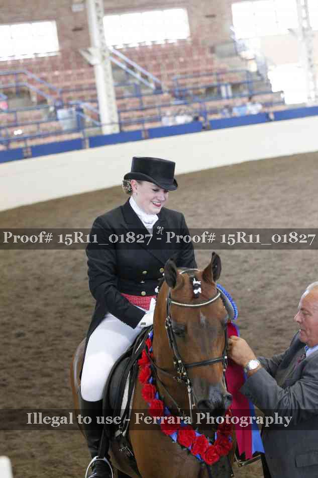 Proof 15R11_01827
