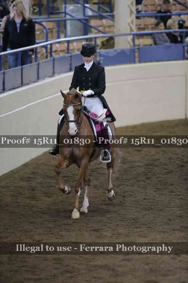 Proof 15R11_01830