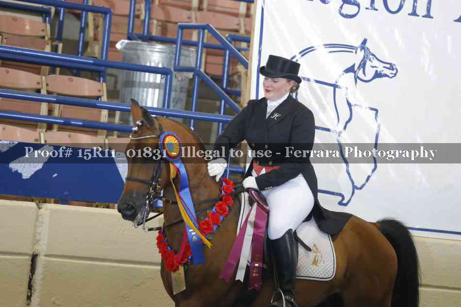 Proof 15R11_01831