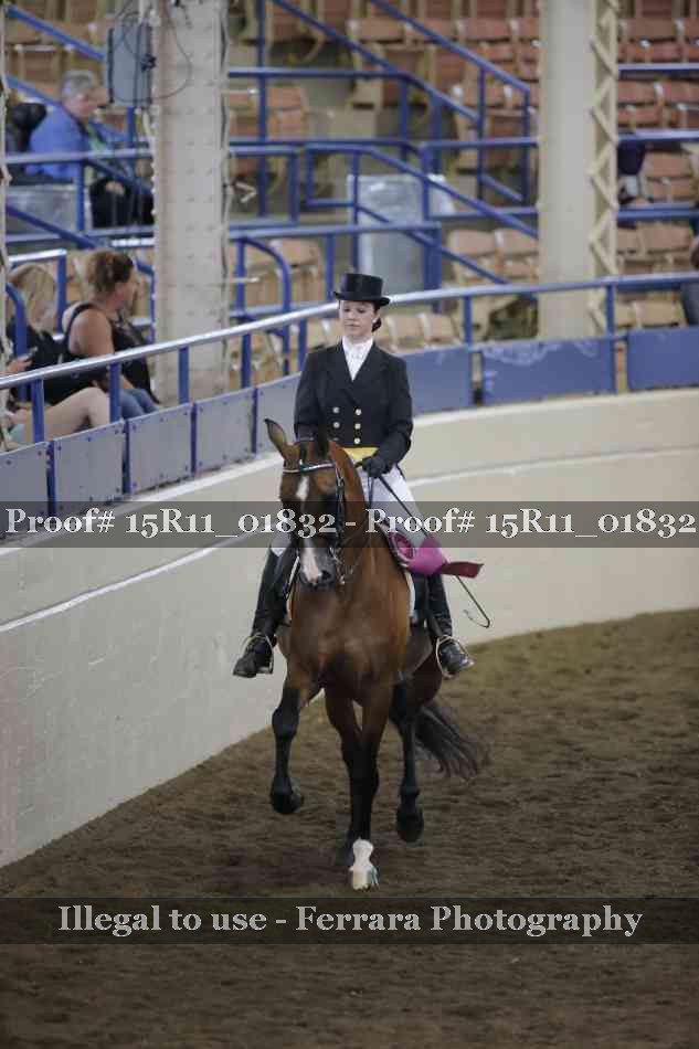 Proof 15R11_01832