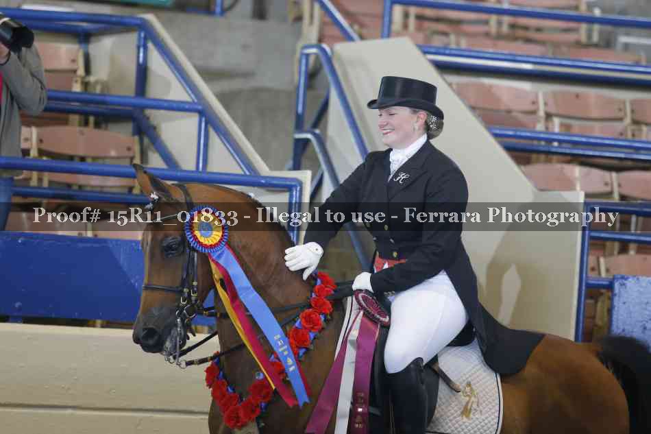 Proof 15R11_01833
