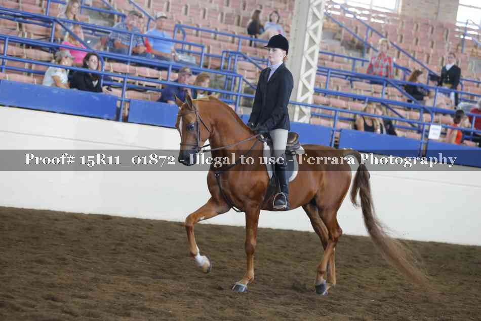 Proof 15R11_01872