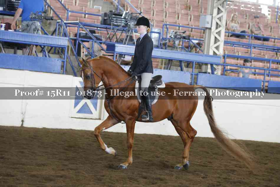 Proof 15R11_01873