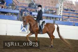 15R11_01873 proof