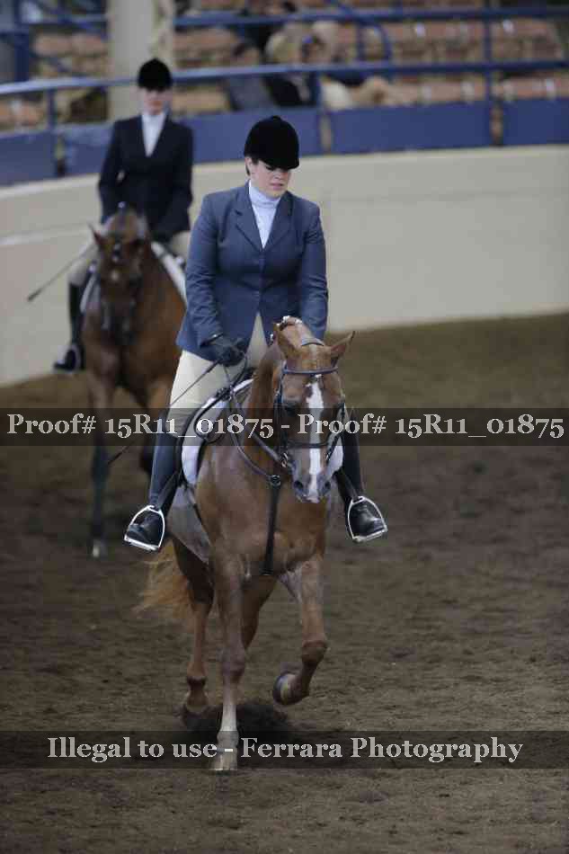Proof 15R11_01875