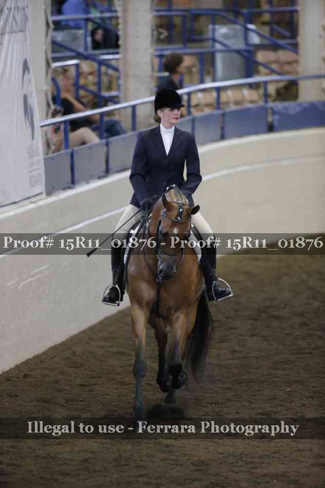 Proof 15R11_01876