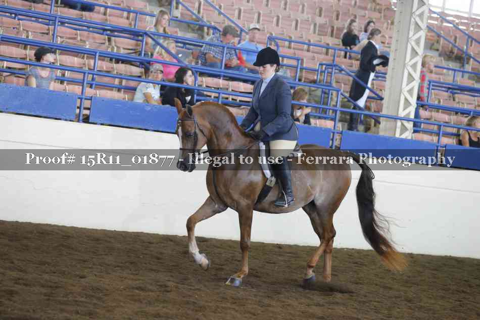 Proof 15R11_01877