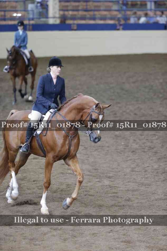 Proof 15R11_01878