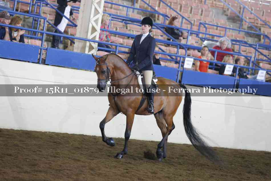 Proof 15R11_01879