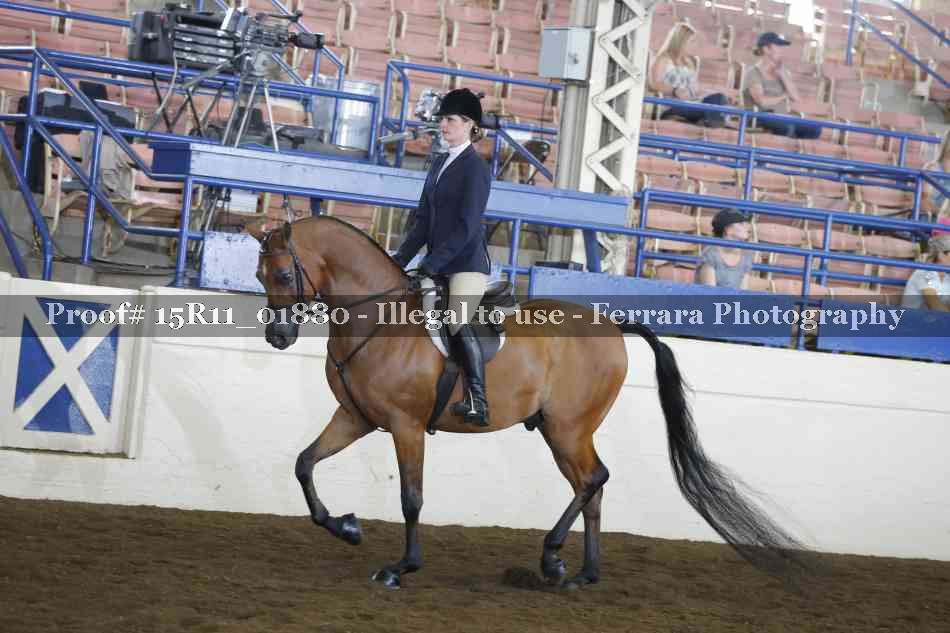 Proof 15R11_01880
