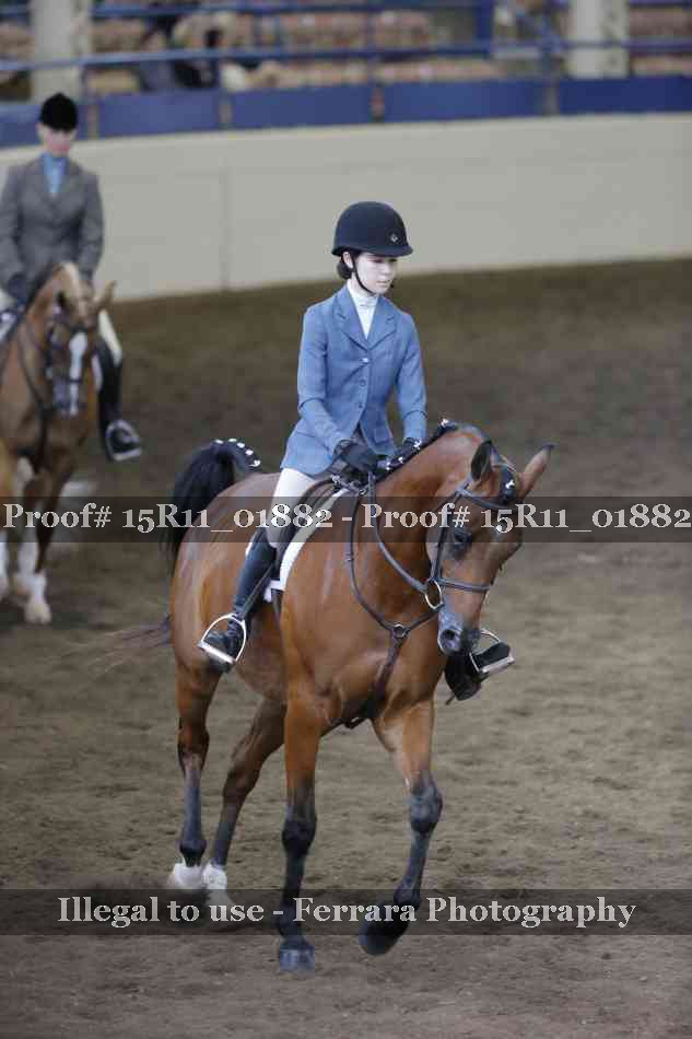 Proof 15R11_01882