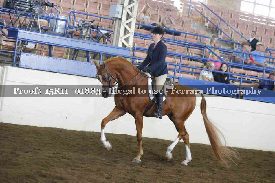 Proof 15R11_01883