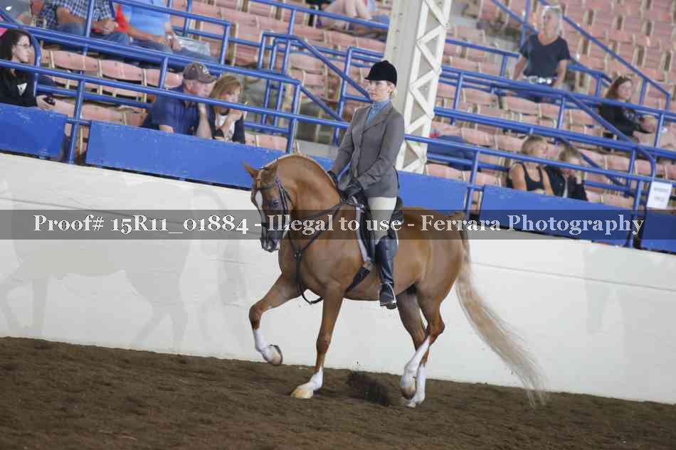 Proof 15R11_01884