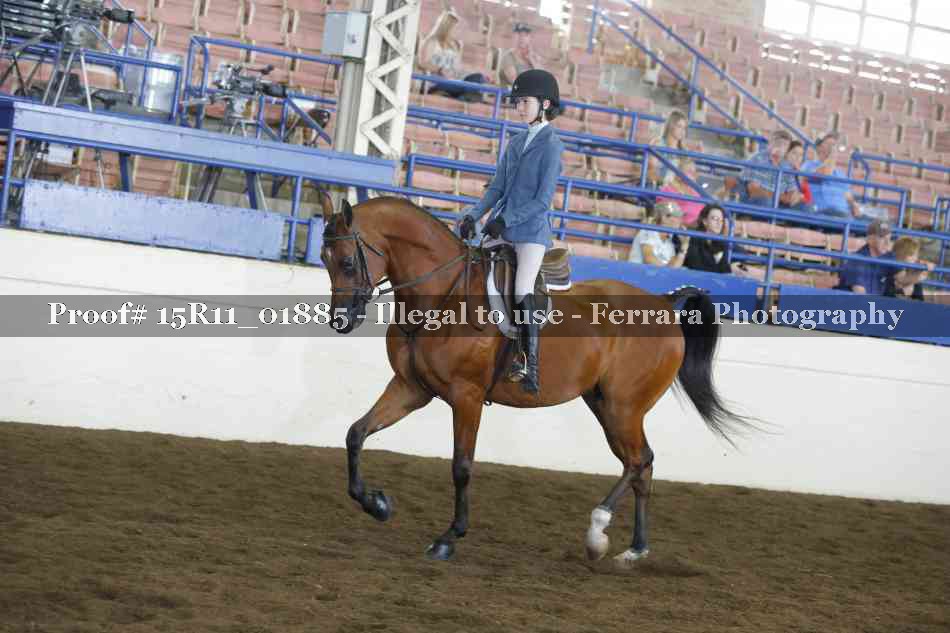 Proof 15R11_01885
