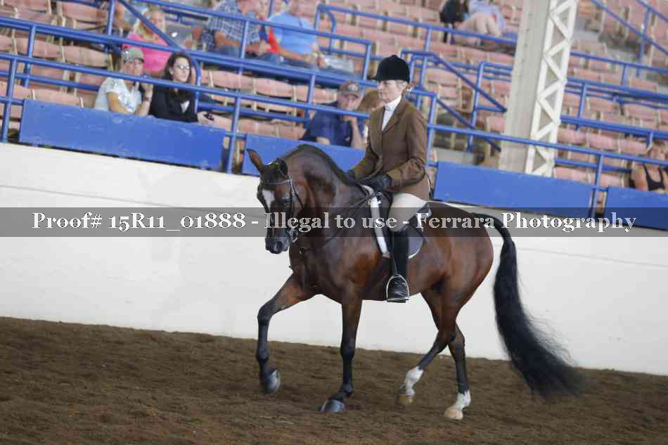 Proof 15R11_01888