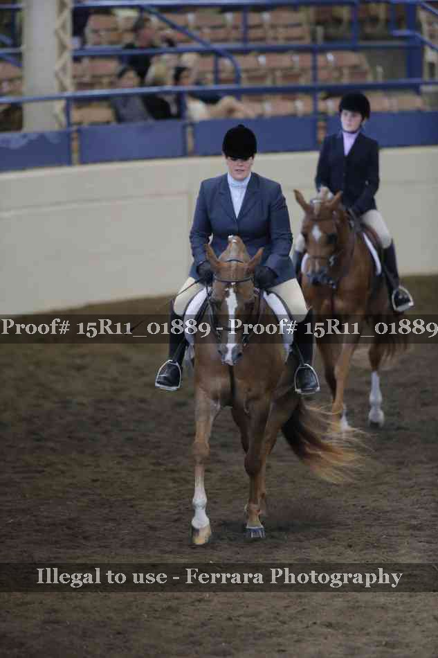 Proof 15R11_01889