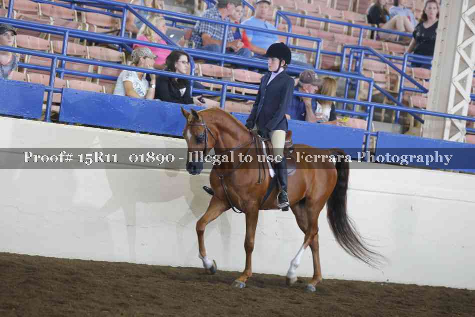 Proof 15R11_01890