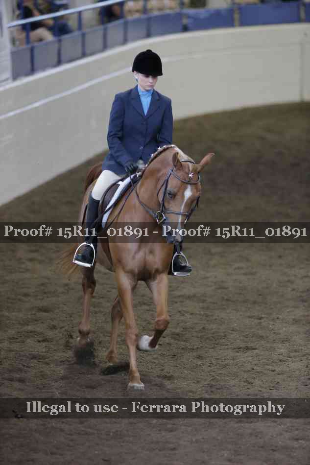 Proof 15R11_01891
