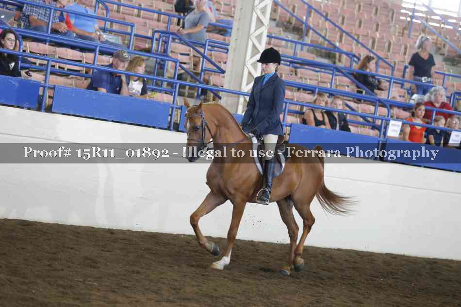 Proof 15R11_01892