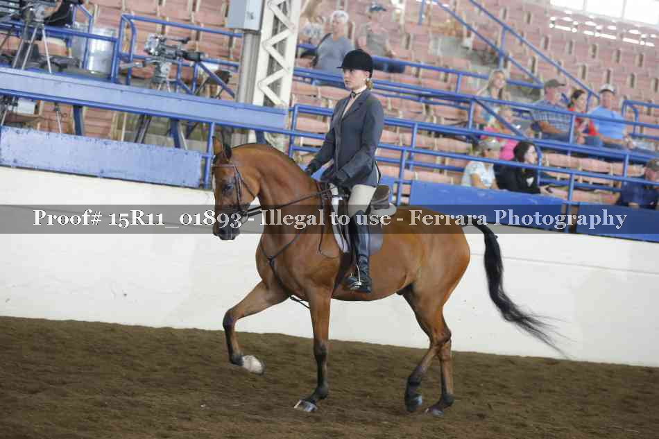 Proof 15R11_01893