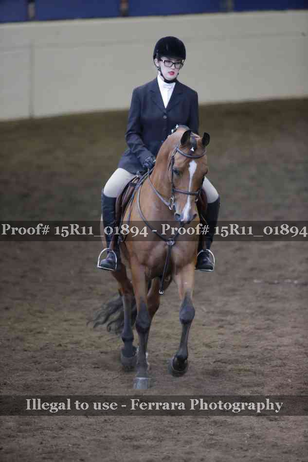 Proof 15R11_01894