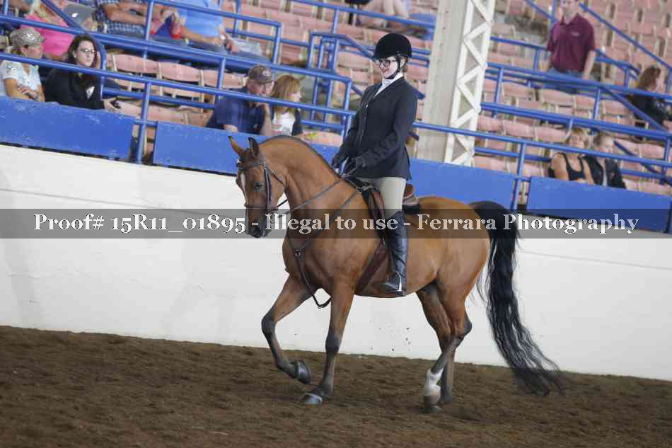 Proof 15R11_01895