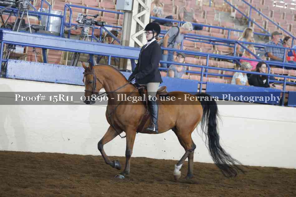 Proof 15R11_01896