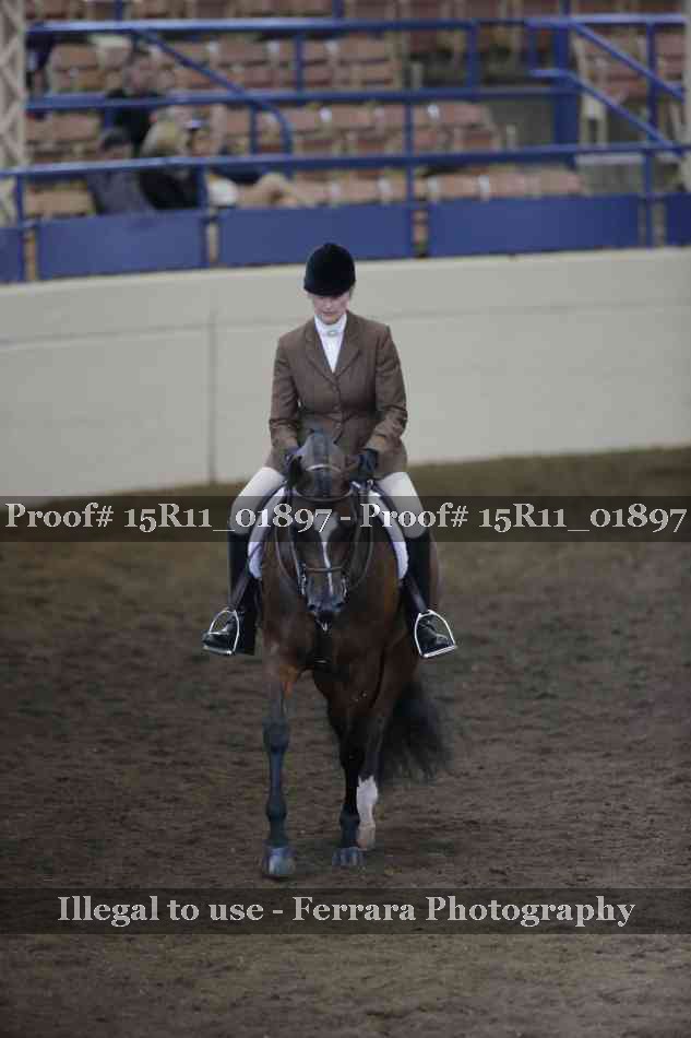 Proof 15R11_01897