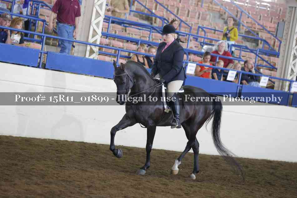 Proof 15R11_01899