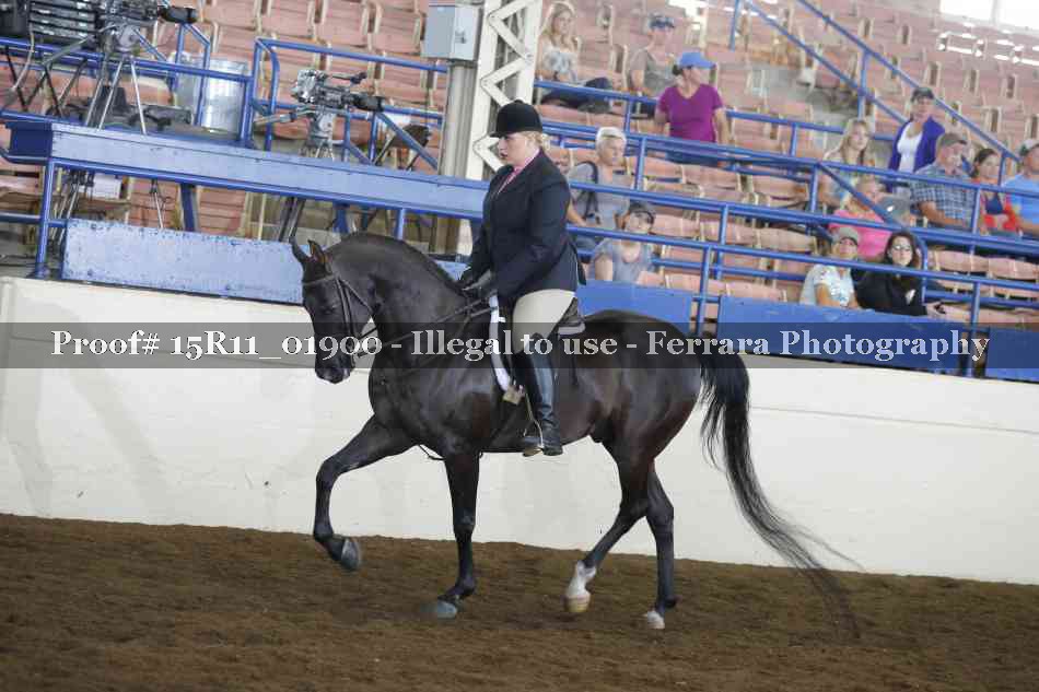 Proof 15R11_01900