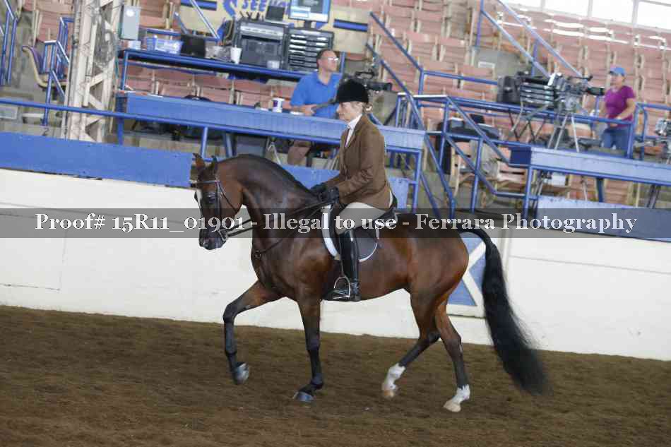 Proof 15R11_01901