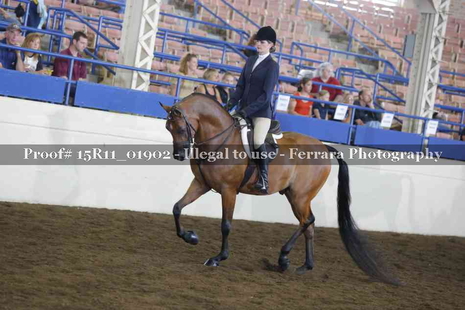 Proof 15R11_01902