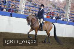 15R11_01902 proof