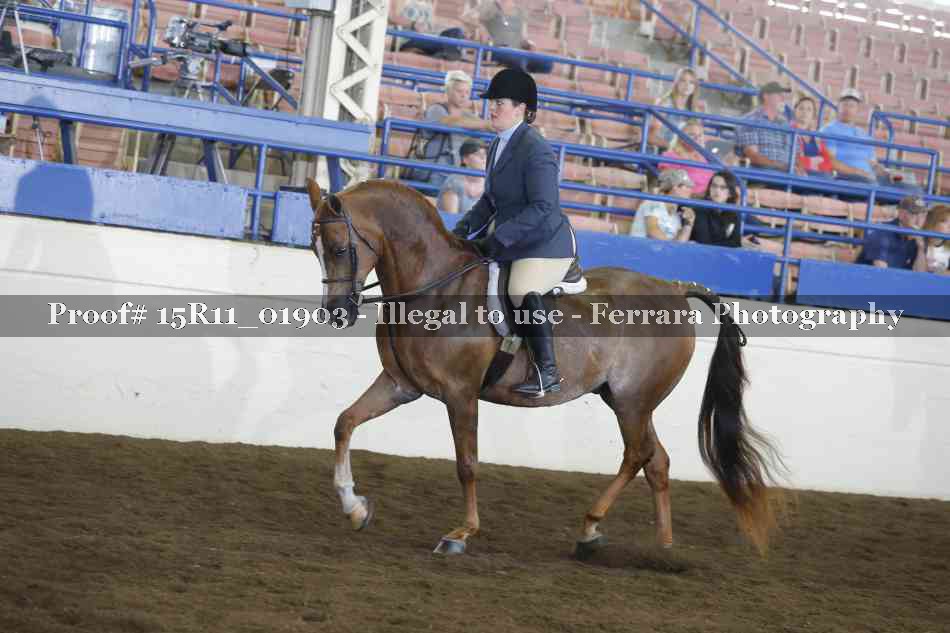 Proof 15R11_01903