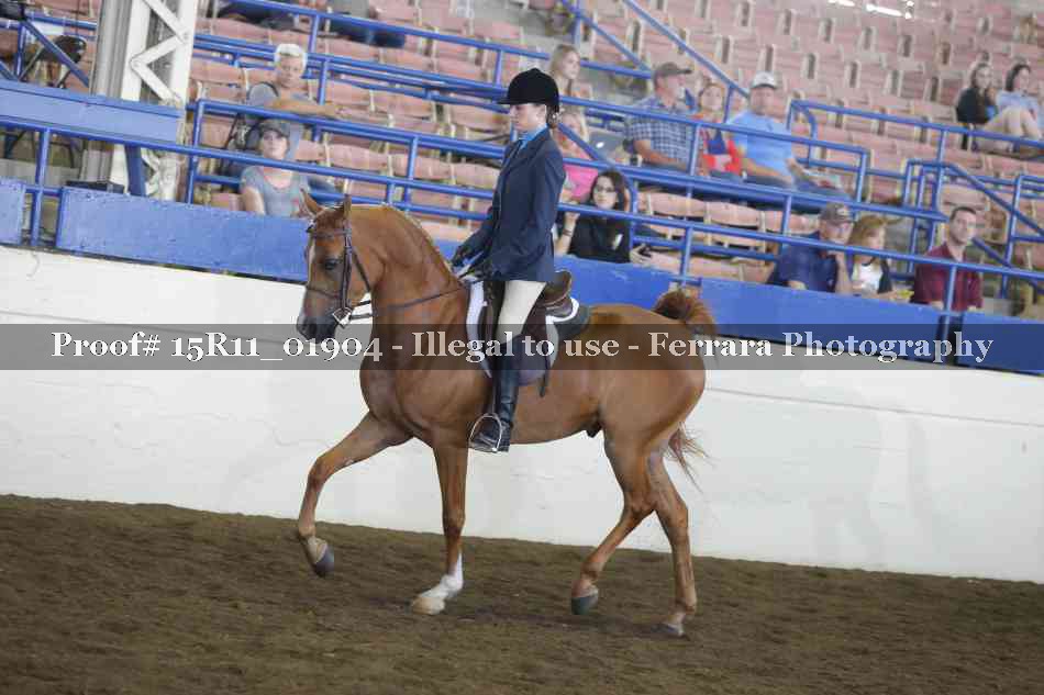 Proof 15R11_01904