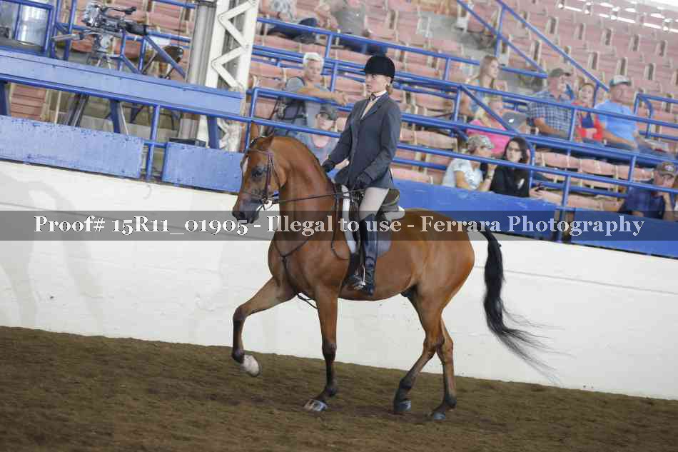 Proof 15R11_01905