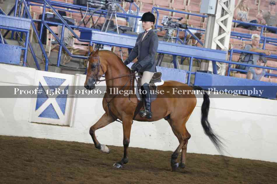 Proof 15R11_01906